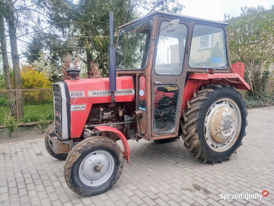 Massey Ferguson 255 Orginał Zarejestrowany Z wielkopolskie sprzedam
