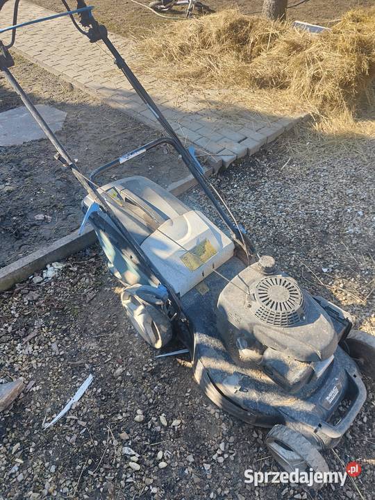 Kosiarka maccalister śląskie Borowno