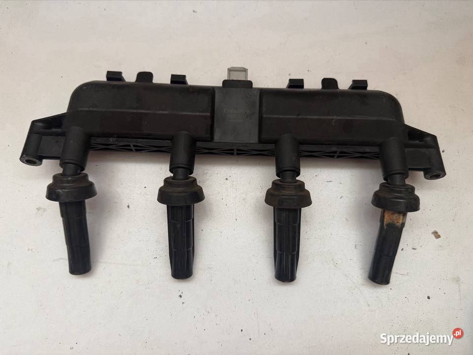 Cewka zapłonowa Peugeot 206 11 benzyna wielkopolskie Ostrzeszów sprzedam