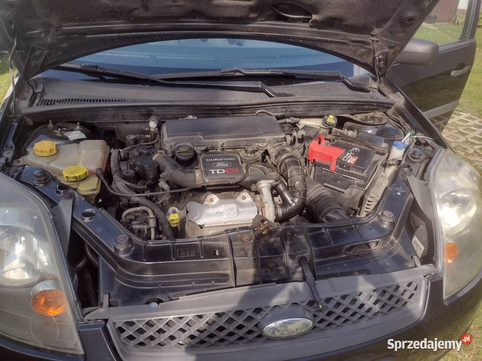 Ford Fiesta Chęciny
