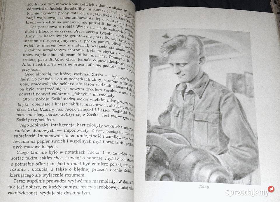 Kamienie na szaniec Aleksander Kamiński Chełm