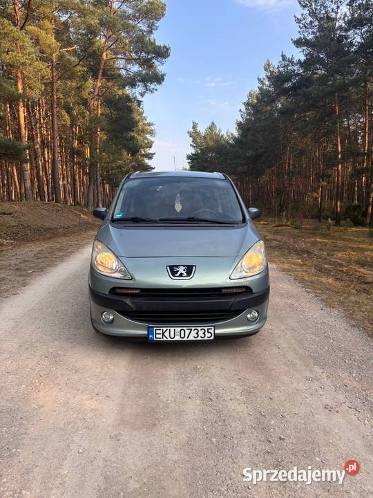 Peugeot 1007 2006 Gostynin