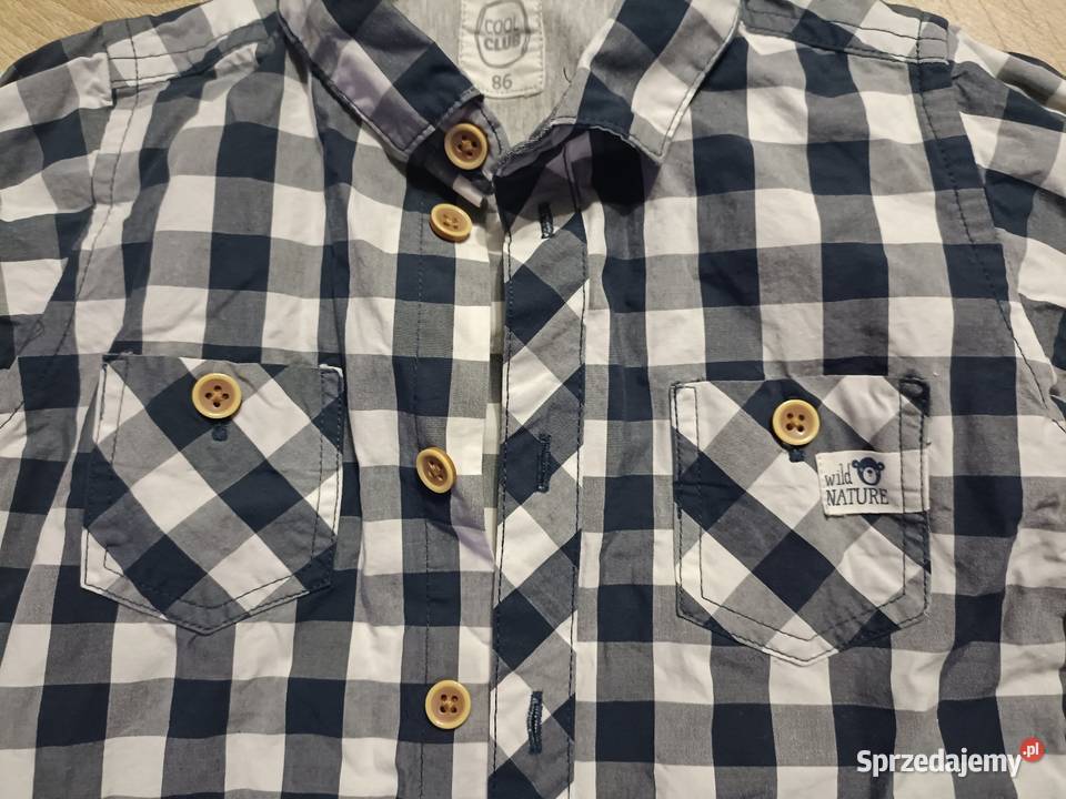 Koszulobody w kratę Cool Club 86 pomorskie Kwidzyn sprzedam