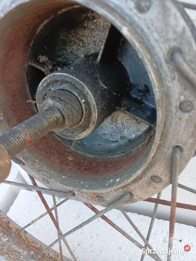 Koło komar Milejewo