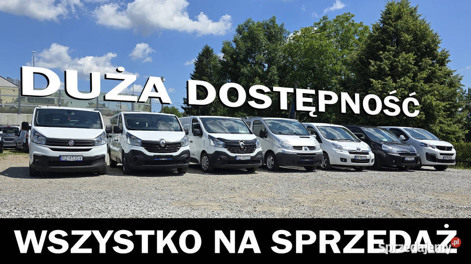 Volkswagen Transporter T6 manualna Renault Rzeszów