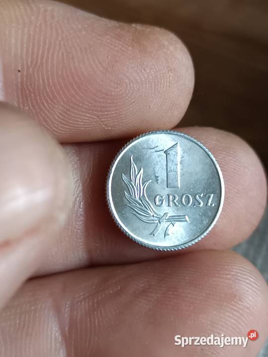 Sprzedam 1 grosz 1949 r bbbb Chełm sprzedam