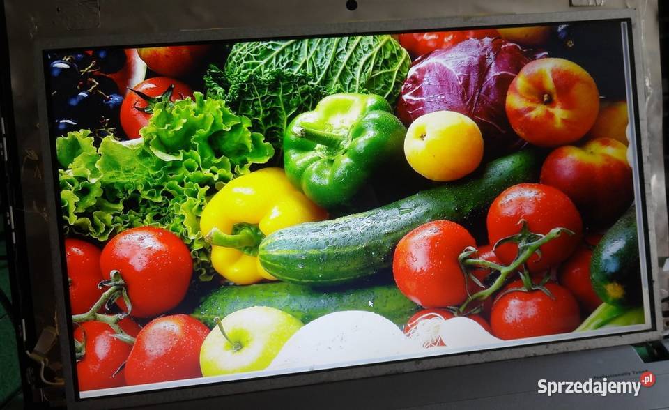 Matryca do laptopa LG LP156WH4 TLC1 Szczecin