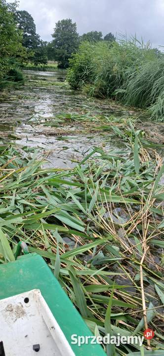 ŁÓDŹ KOSZĄCA usługi kosiarka wodna Ińsko