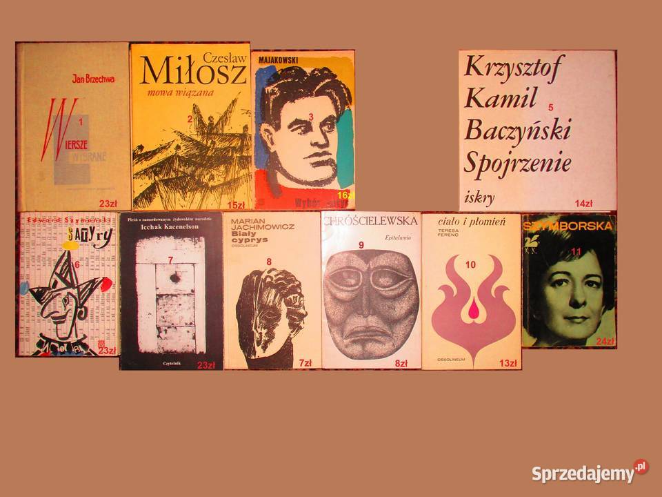 Poezja poeci wiersze literatura Łódź