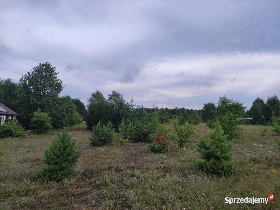 Działka rolnobudowlana Jacentów gm Radoszyce