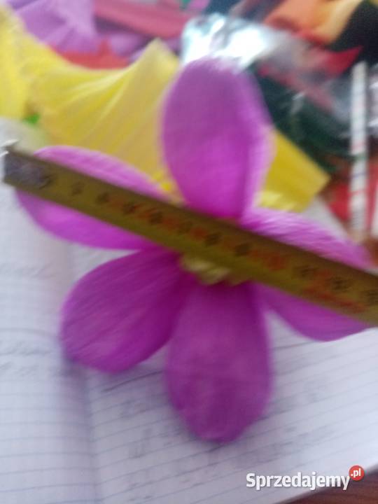 Kwiaty do dużej Palmy