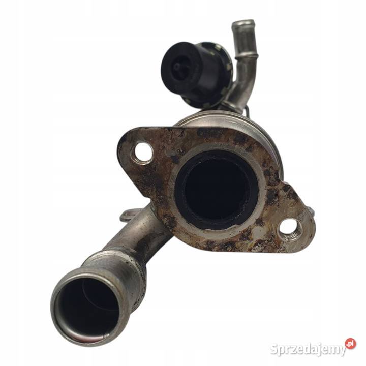 CHŁODNICA SPALIN VW Passat B6 20 TDI 03L131512B Chełm