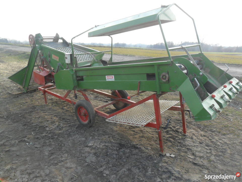 sortownik do ziemniaków cebulu remprodex Brodnica