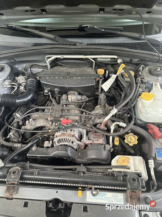 Subaru Forester srebrny