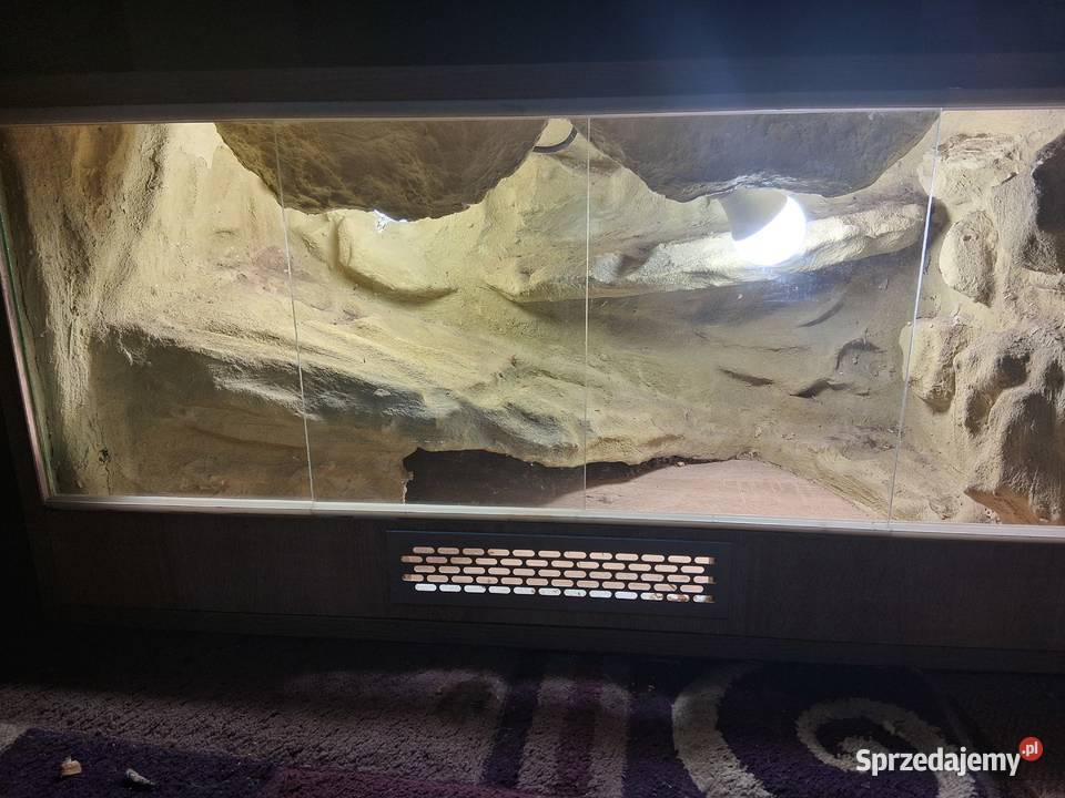 Terrarium Gekona 80x40x40 Pustynne Terrarystyka Sławków sprzedam