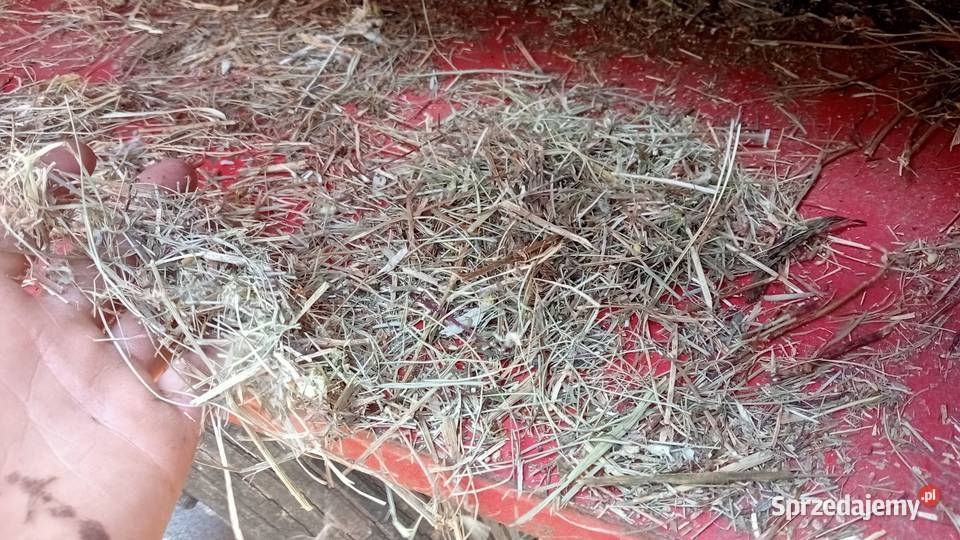 Ścielarka sieczkarnia paszowóz rozdrabniacz Sochaczew