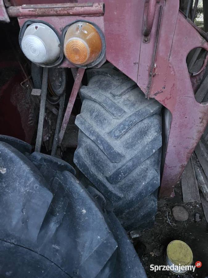 Sprzedam Bizona Szczytno