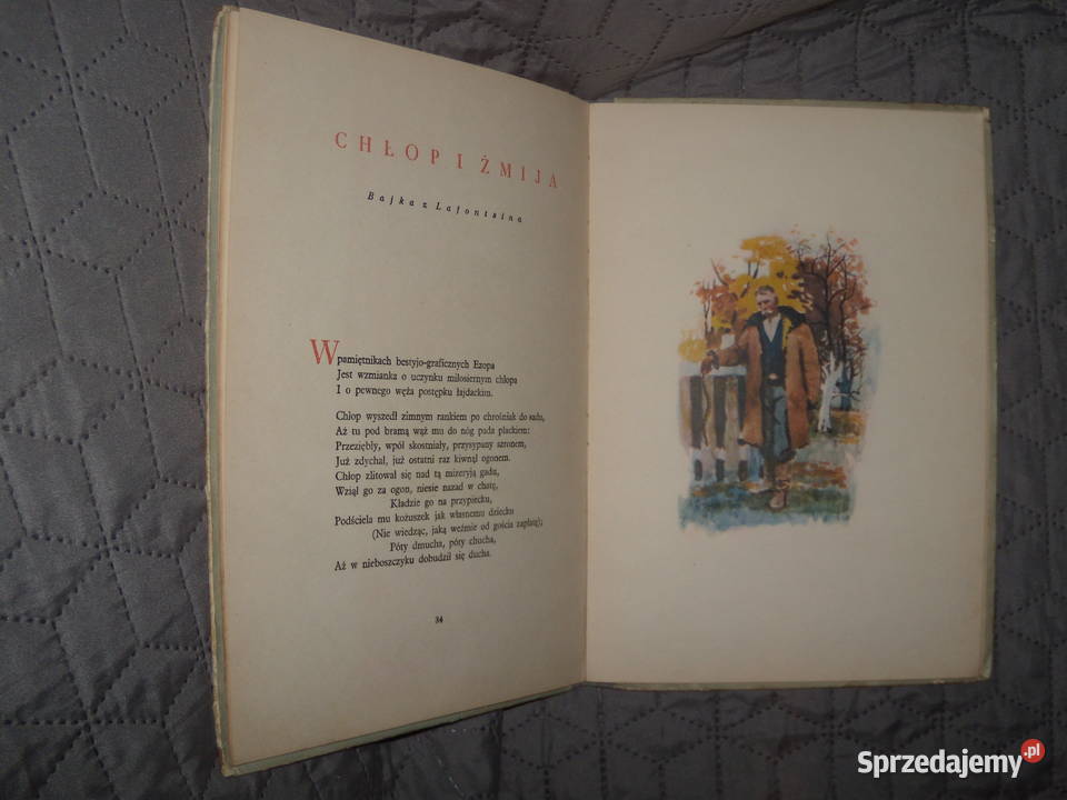 Bajki Adam Mickiewicz Książki dla dzieci Warszawa