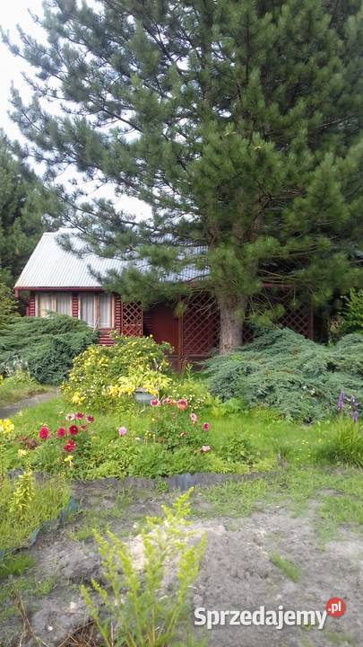 działka ROD Otwock mazowieckie