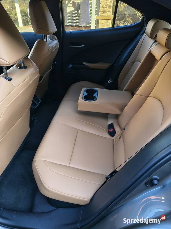 Lexus UX 250h Fsport Design Plus 2023 Gwarancja Kielce