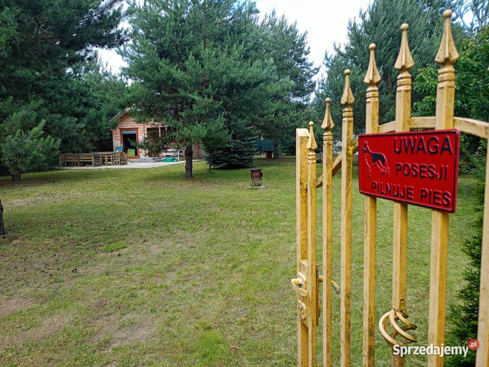 Domek rz Pilicą Pozostałe Białobrzegi sprzedam