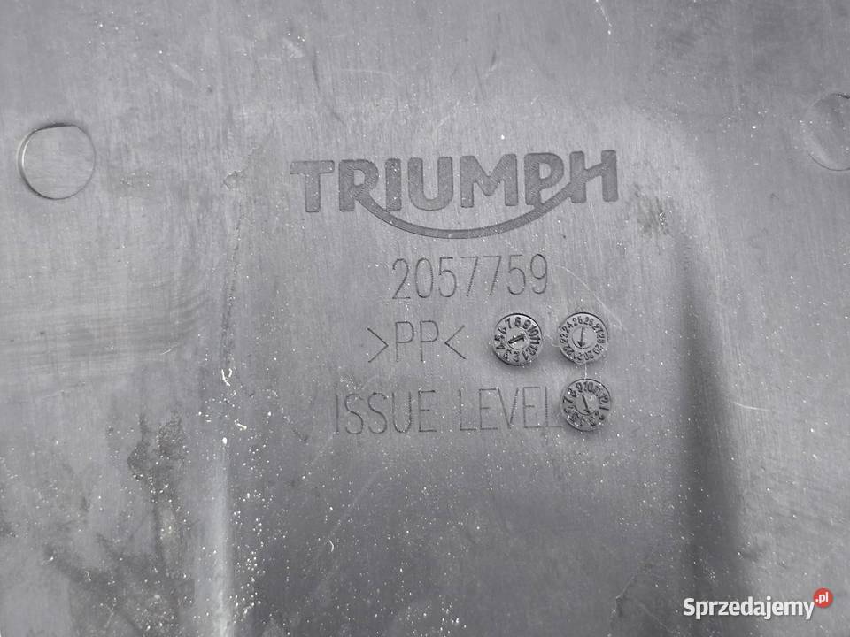 OSLONA ZASLEPKA TRIUMPH TIGER 1200 RALLY Janowice