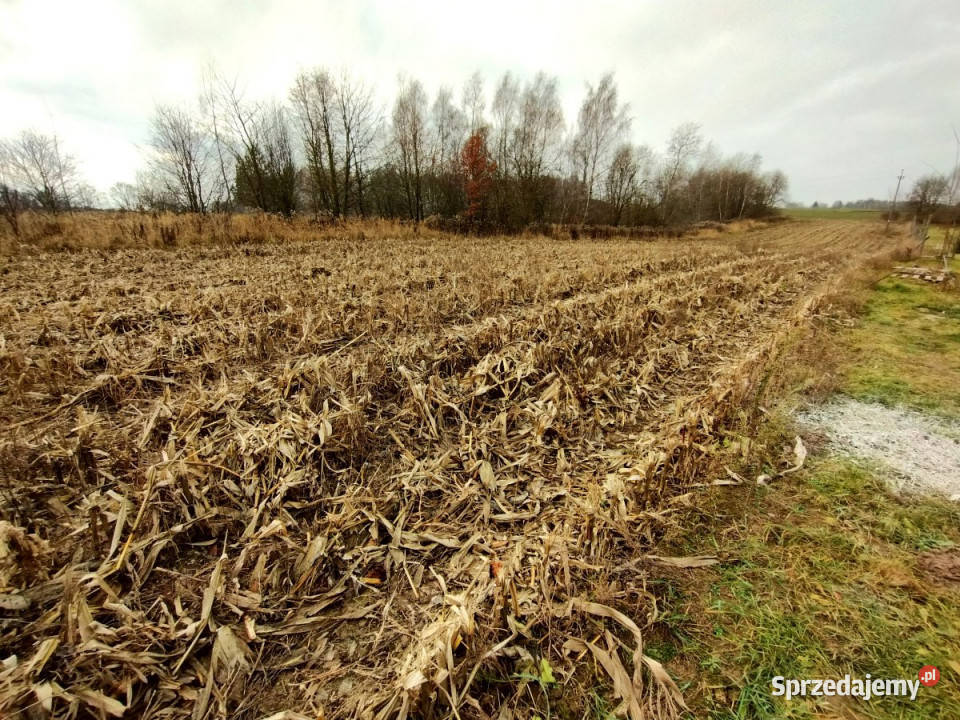 Sprzedaż działki 1600m2 PłouszowiceKolonia
