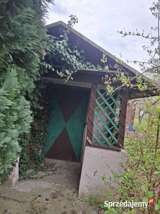 Sprzedam działkę rekreacyjną ROD Magnolia w Legnica
