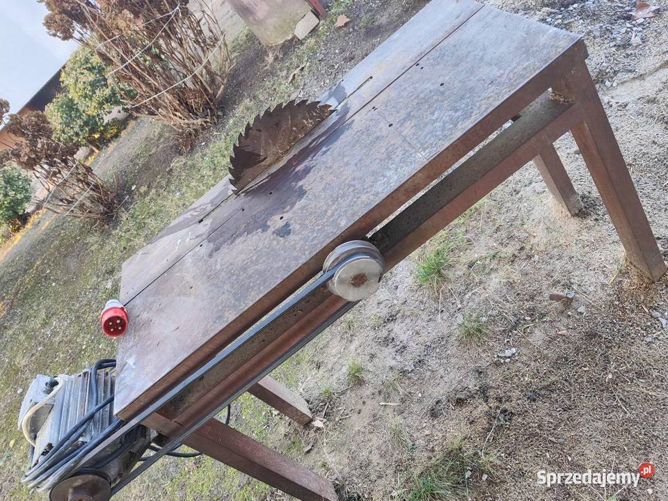 Cyrkulatka podkarpackie Sieniawa