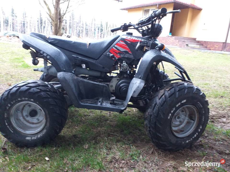 AMS Desert Cat QUAD Pozostałe Krzywa