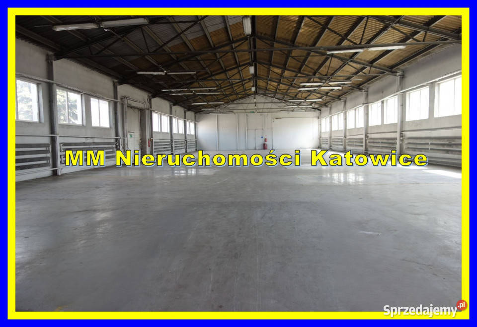 Hala do wynajęcia Katowice centrum biura socjal parking sprzedam