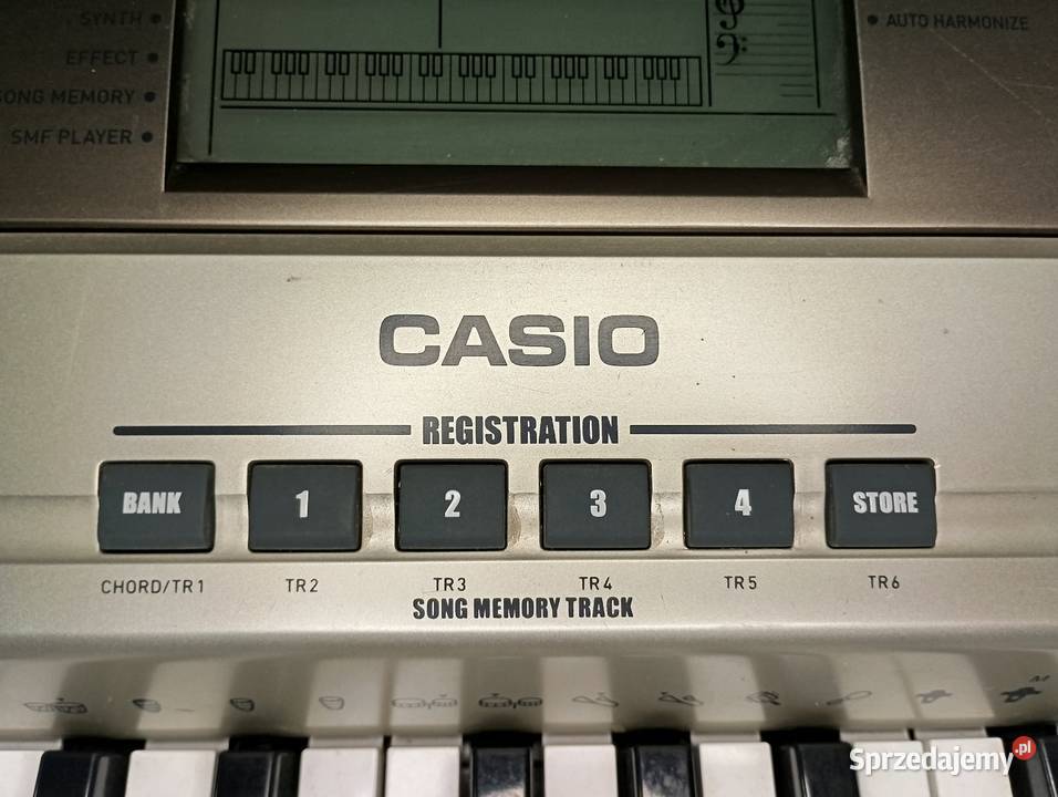 Casio CTK900 instrument klawiszowy keyboard Trzcianka