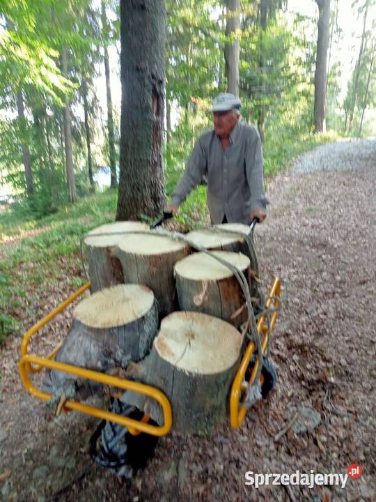 Taczka elektryczna Higher Pozostałe Pozostałe sprzedam