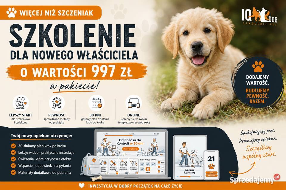 WEST HIGHLAND WHITE TERRIER West Highland White Terrier Ozimek