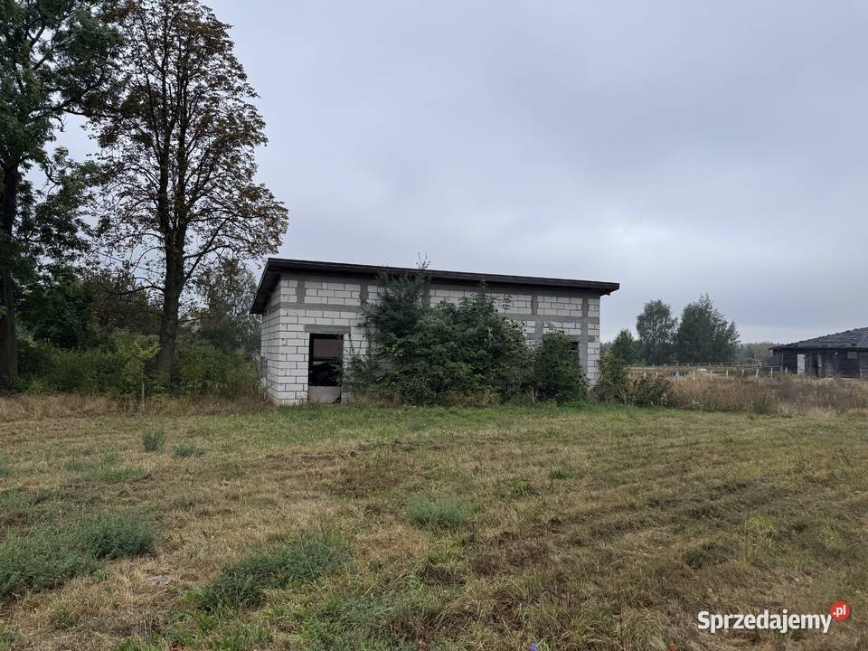 Syndyk sprzeda nieruchomość miejscowość