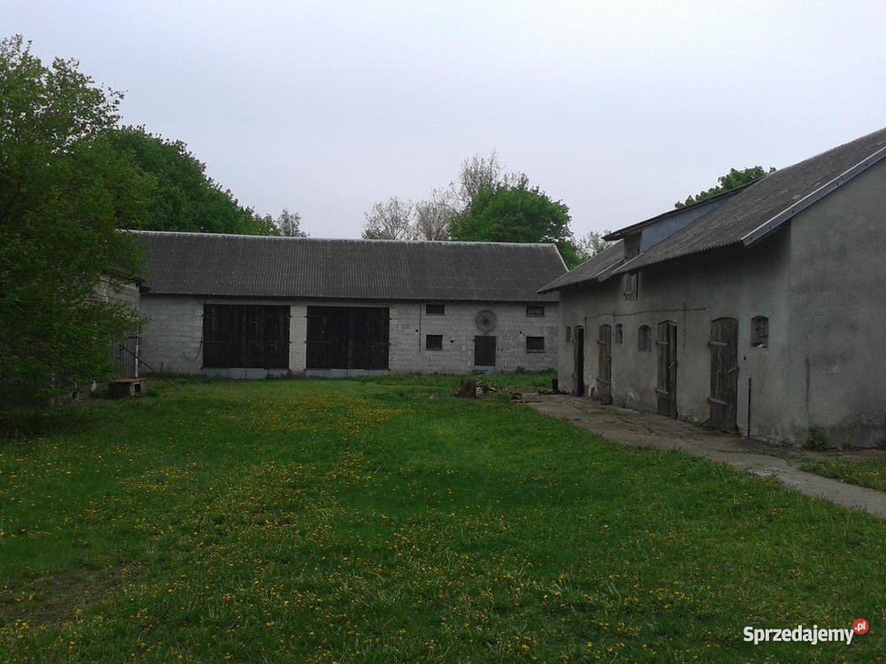 dom garaż i budynki gospodarcze 2083zł/m2 mazowieckie Zielona sprzedam