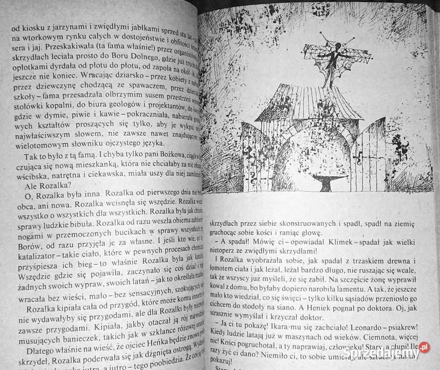 Rozalka Olaboga Anna Kamieńska Rok wydania 1982 Chełm