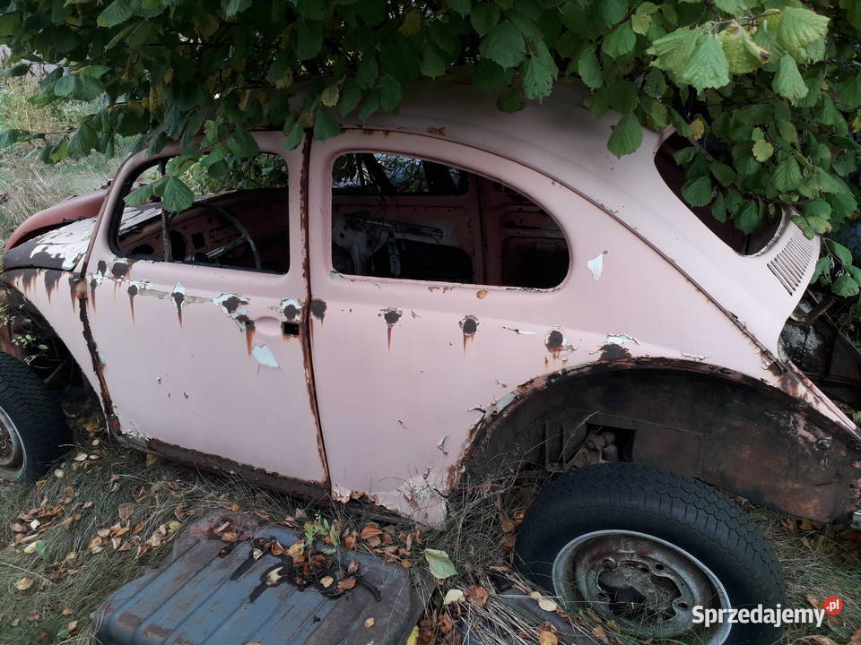 vw garb pomnik reklama projekt części kujawsko-pomorskie Bydgoszcz sprzedam