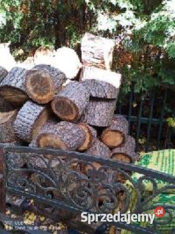 Drzewo kominkowe 400 1m3 Warszawa