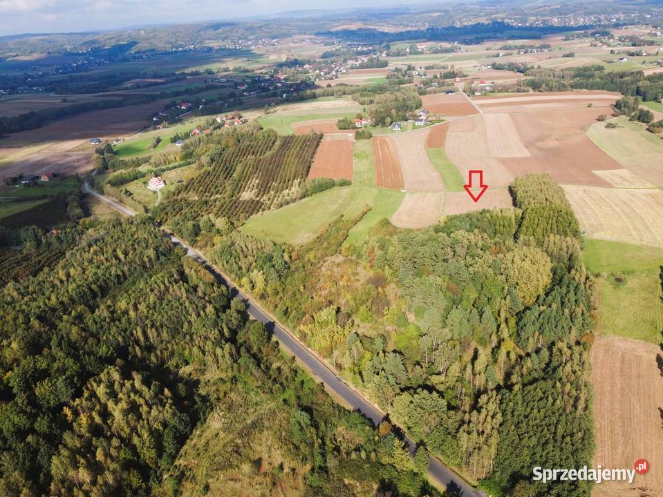 Dziaka rolna 110 ar Oparówka sprzedam