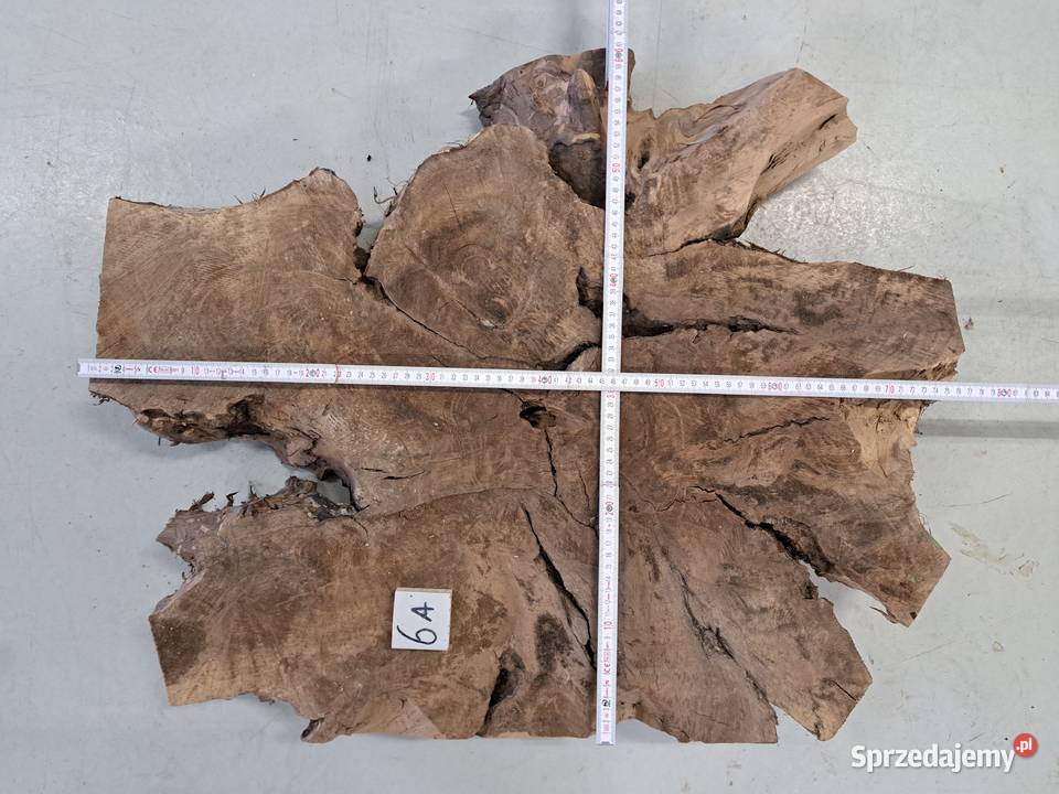 Plastry Orzech Korzeń suche