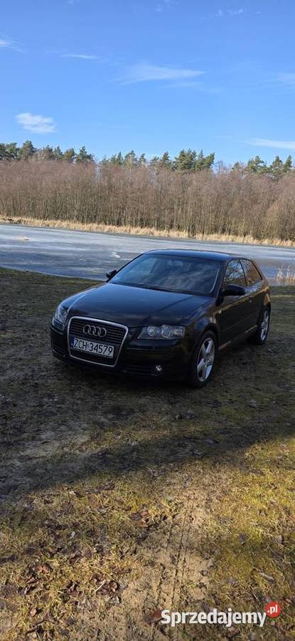 Audi A3 8P 19 Tdi BLS podgrzewane fotele Choszczno