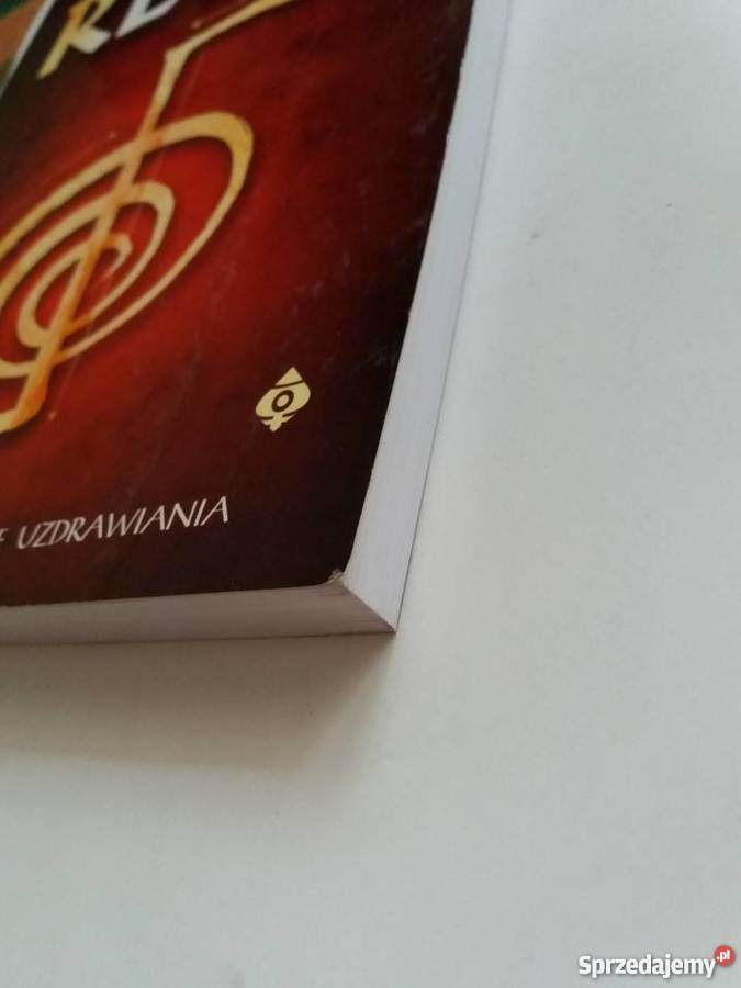 Reiki Przewodnik sztuce uzdrawiania Diane Stein Rzeszów