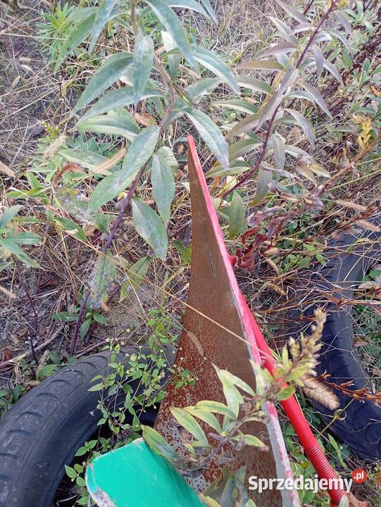 Pług 4 agro masz Naklik