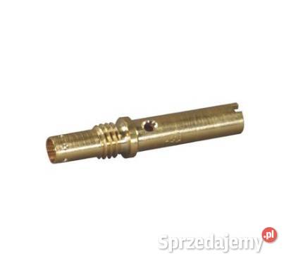 Dysza główna 597107 małopolskie Kamionna