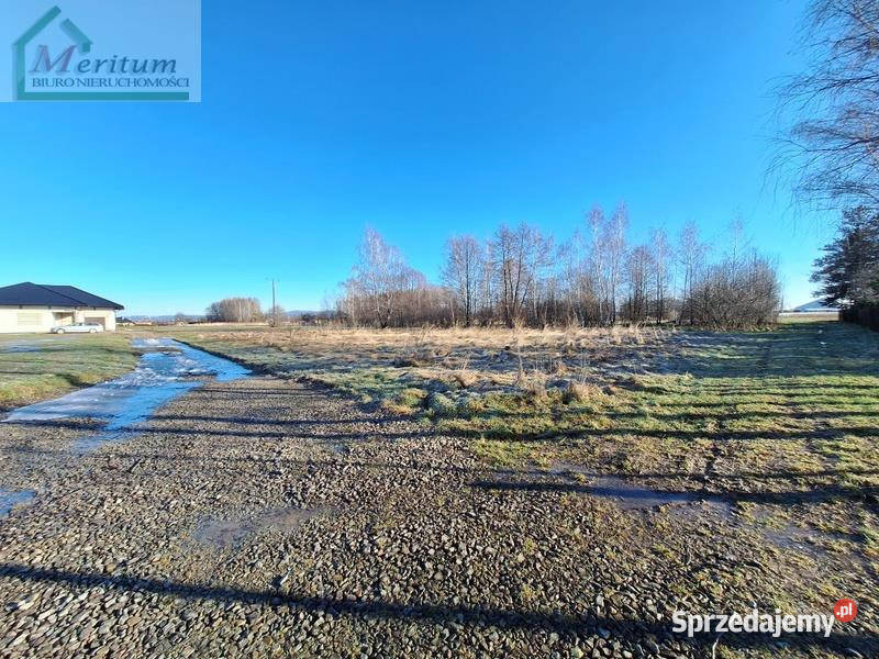 Grunt sprzedam Świerzowa Polska 1462m2 sprzedam