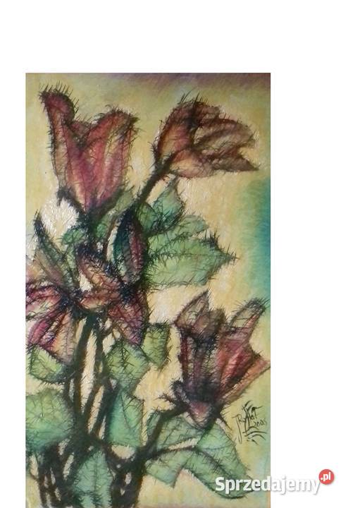 Magikal Róże Czarodziejskie Malarstwo Jarosław sprzedam