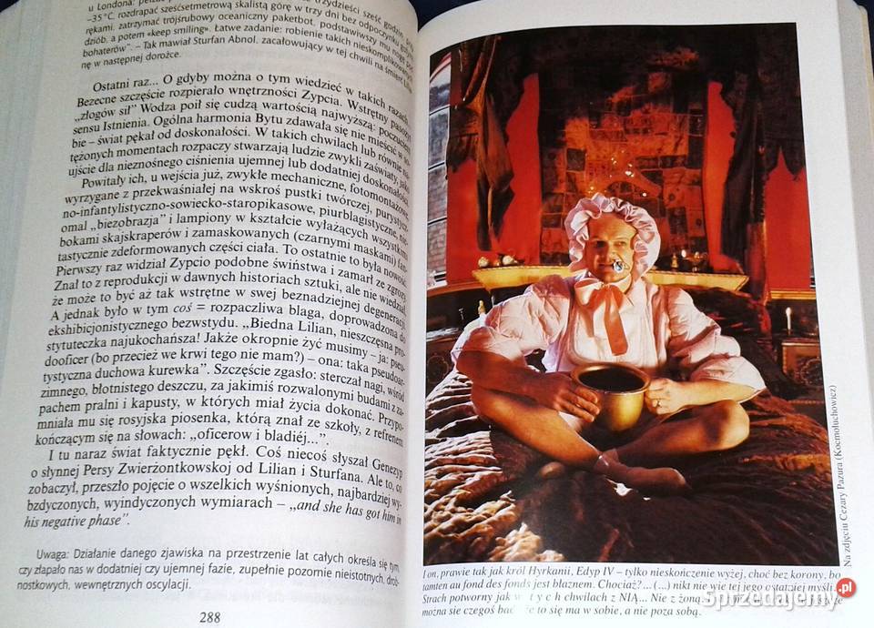 Nienasycenie Stanisław Ignacy Witkiewicz Chełm