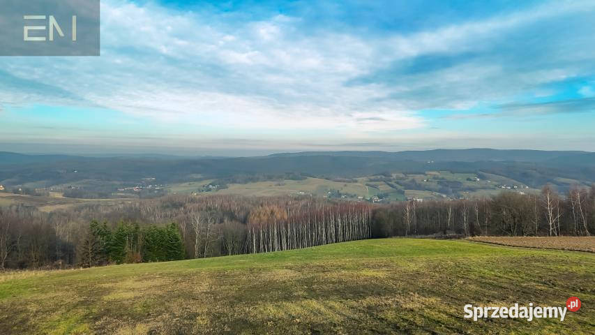 Ziemia na sprzedaż 10200m2 Gogołów 29zł/m2