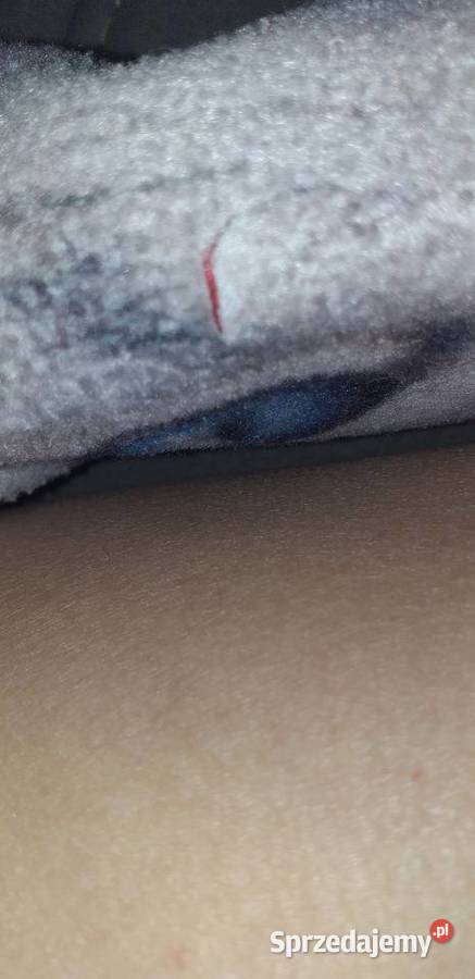 Piórnik mordka kota Tolo Legionowo sprzedam